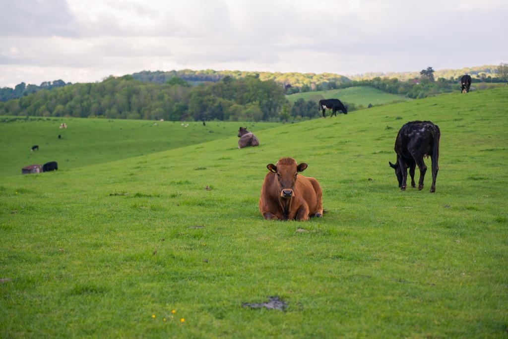 Huntlands Farm Bed & Breakfast Bromyard Luaran gambar