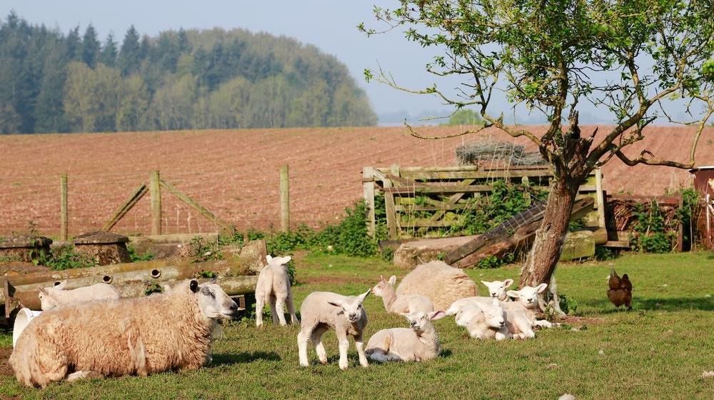 Huntlands Farm Bed & Breakfast Bromyard Luaran gambar