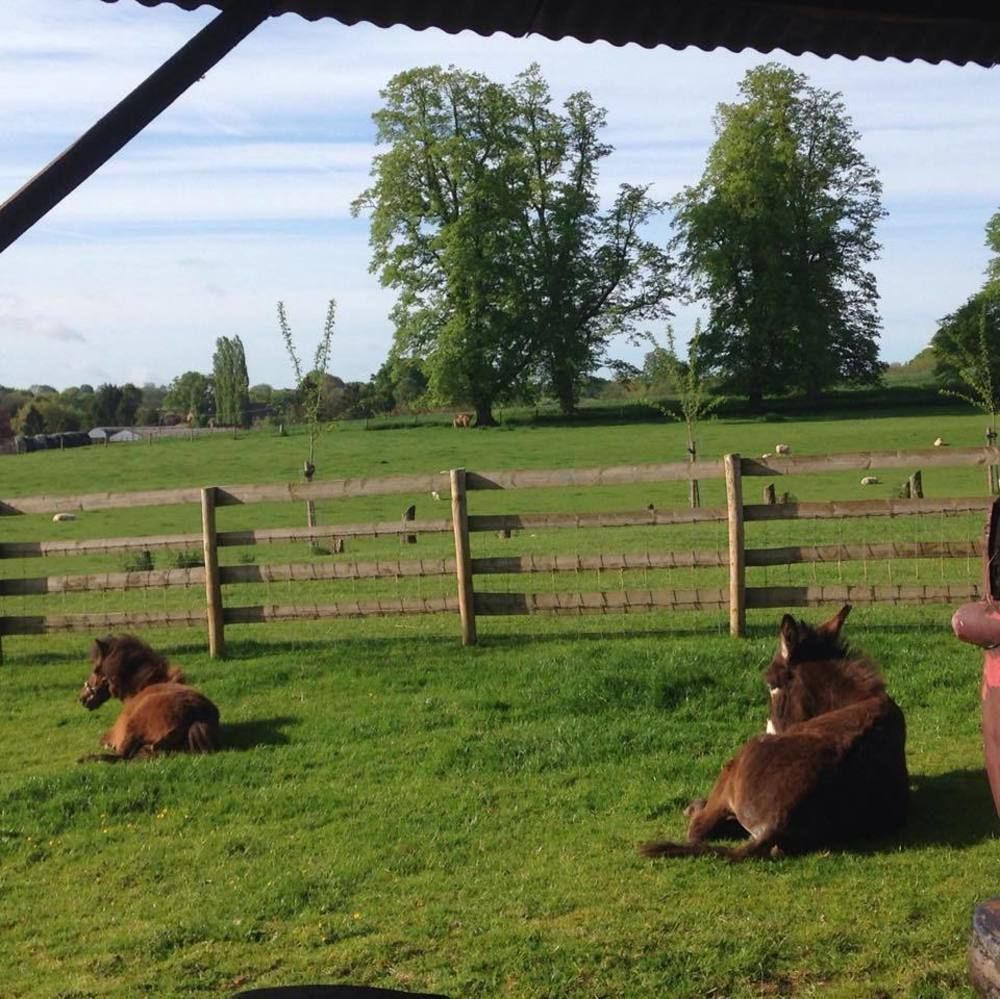 Huntlands Farm Bed & Breakfast Bromyard Luaran gambar