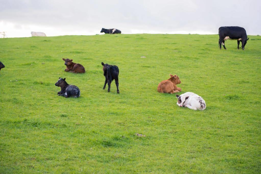 Huntlands Farm Bed & Breakfast Bromyard Luaran gambar